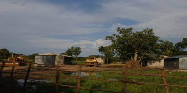 a272.jpg